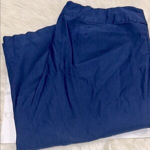 NEW DIRECTION Stylish Blue Pants curvy fit size 24W